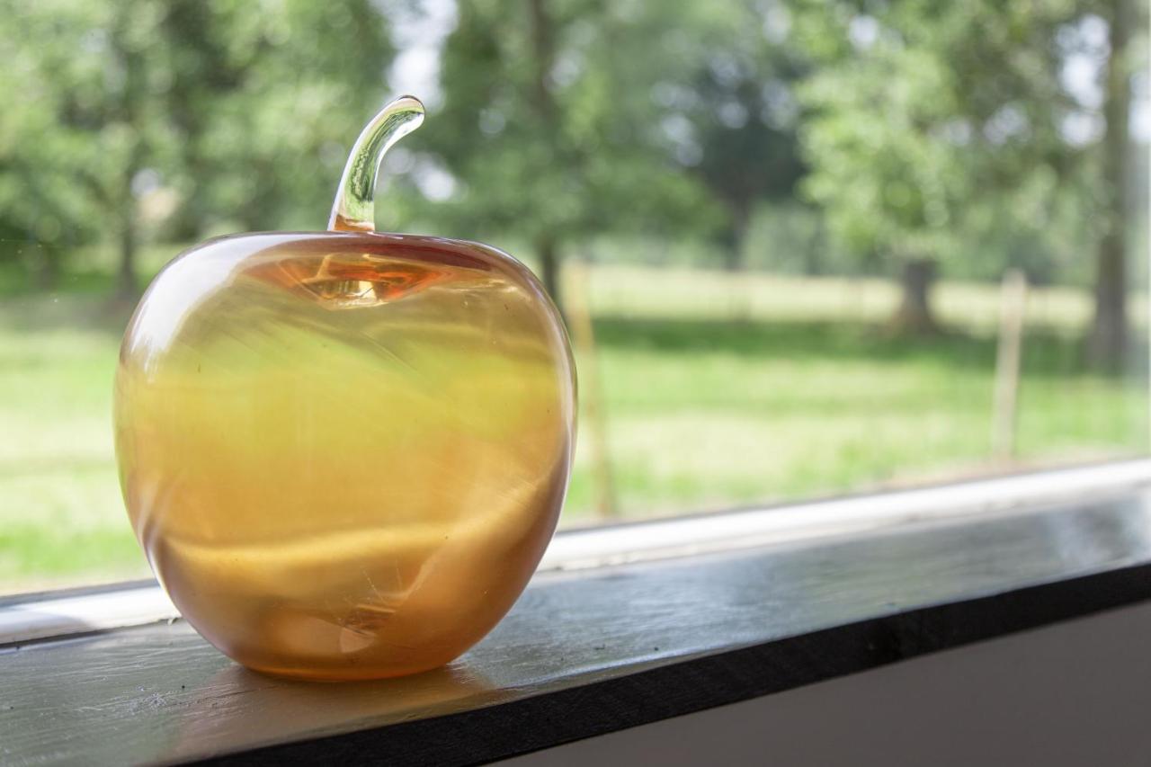 La Pomme Petillante Maisnieres 外观 照片